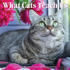 What Cats Teach Us 2025 7 X 7 Mini Wall Calendar - Willow Creek Press