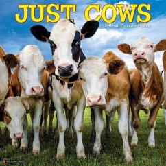 Just Cows 2025 12 X 12 Wall Calendar - Willow Creek Press