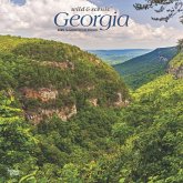 Georgia Wild & Scenic 2025 12 X 24 Inch Monthly Square Wall Calendar Plastic-Free