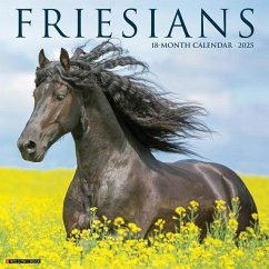 Friesians 2025 12 X 12 Wall Calendar - Willow Creek Press