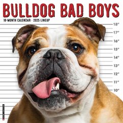 Bulldog Bad Boys 2025 12 X 12 Wall Calendar - Willow Creek Press