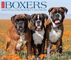 Boxers 2025 6.2 X 5.4 Box Calendar - Willow Creek Press