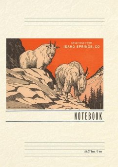 Cover Vintage Lined Notebook Greetings from Idaho Springs