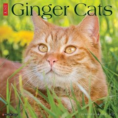 Just Ginger Cats 2025 12 X 12 Wall Calendar - Willow Creek Press