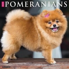 Just Pomeranians 2025 12 X 12 Wall Calendar - Willow Creek Press