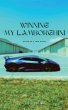 Winning My Lamborghini - Bild 1