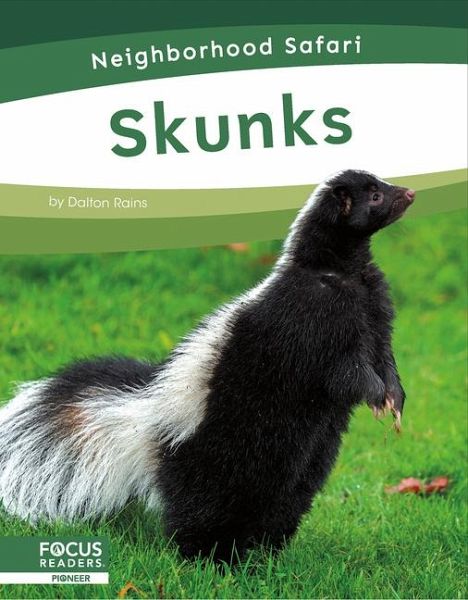 Skunks Skunks