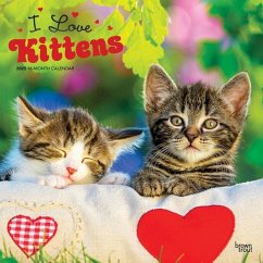 I Love Kittens 2025 12 X 24 Inch Monthly Square Wall Calendar Plastic-Free - Browntrout