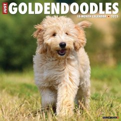 Just Goldendoodles 2025 12 X 12 Wall Calendar - Willow Creek Press