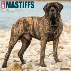 Just Mastiffs 2025 12 X 12 Wall Calendar - Willow Creek Press