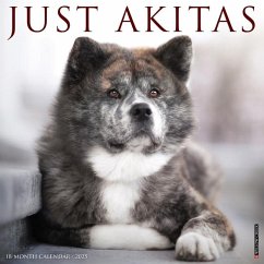 Just Akitas 2025 12 X 12 Wall Calendar - Willow Creek Press