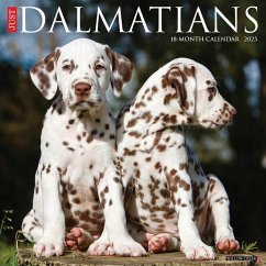 Just Dalmatians 2025 12 X 12 Wall Calendar - Willow Creek Press