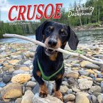 Crusoe the Celebrity Dachshund 2025 7 X 7 Mini Wall Calendar