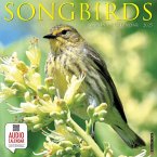 Songbirds 2025 12 X 12 Wall Calendar