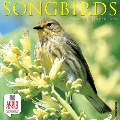 Songbirds 2025 12 X 12 Wall Calendar - Willow Creek Press