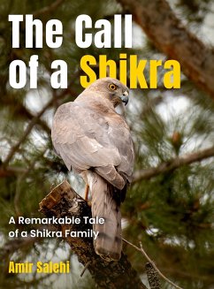 The Call of a Shikra - Salehi, Amir