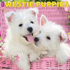 Just Westie Puppies 2025 12 X 12 Wall Calendar - Willow Creek Press