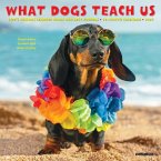 What Dogs Teach Us 2025 7 X 7 Mini Wall Calendar