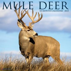 Mule Deer 2025 12 X 12 Wall Calendar - Willow Creek Press