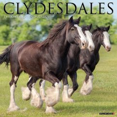 Clydesdales 2025 12 X 12 Wall Calendar - Willow Creek Press