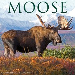 Moose 2025 12 X 12 Wall Calendar - Willow Creek Press