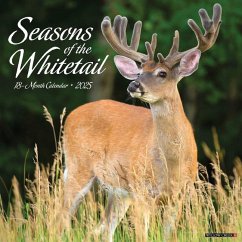 Seasons of the Whitetail 2025 12 X 12 Wall Calendar - Willow Creek Press