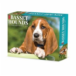 Basset Hounds 2025 6.2 X 5.4 Box Calendar - Willow Creek Press