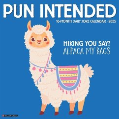 Pun Intended 2025 12 X 12 Wall Calendar - Willow Creek Press