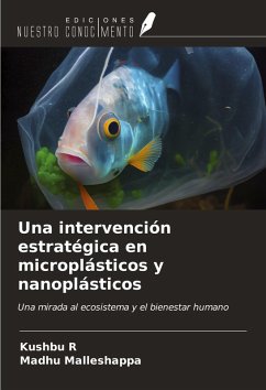 Cover Una intervención estratégica en microplásticos y nanoplásticos