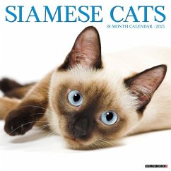 Siamese Cats 2025 12 X 12 Wall Calendar - Willow Creek Press