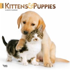 Kittens & Puppies 2025 12 X 24 Inch Monthly Square Wall Calendar Foil Stamped Cover Plastic-Free - Browntrout