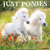 Ponies 2025 12 X 12 Wall Calendar