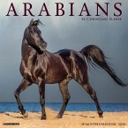 Arabians 2025 12 X 12 Wall Calendar