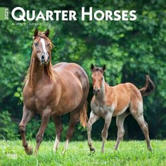 Quarter Horses 2025 12 X 24 Inch Monthly Square Wall Calendar Plastic-Free - Browntrout