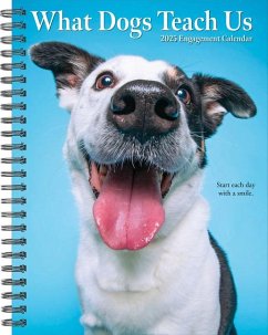 What Dogs Teach Us 2025 6.5 X 8.5 Engagement Calendar - Willow Creek Press
