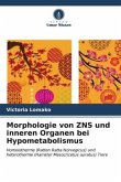 Morphologie von ZNS und inneren Organen bei Hypometabolismus