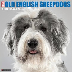 Just Old English Sheepdogs 2025 12 X 12 Wall Calendar - Willow Creek Press