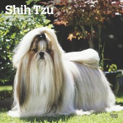 Cover Shih Tzu 2025 12 X 24 Inch Monthly Square Wall Calendar Plastic-Free