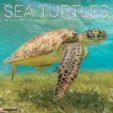 Sea Turtles 2025 12 X 12 Wall Calendar