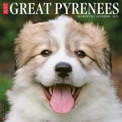 Just Great Pyrenees 2025 12 X 12 Wall Calendar - Willow Creek Press