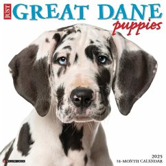 Just Great Dane Puppies 2025 12 X 12 Wall Calendar - Willow Creek Press