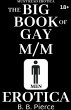 The BIG BOOK of Gay M/M Erotica - Bild 1