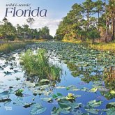 Florida Wild & Scenic 2025 12 X 24 Inch Monthly Square Wall Calendar Plastic-Free