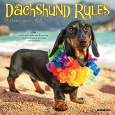 Dachshund Rules 2025 7 X 7 Mini Wall Calendar