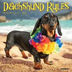 Dachshund Rules 2025 7 X 7 Mini Wall Calendar - Willow Creek Press