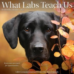 What Labs Teach Us 2025 12 X 12 Wall Calendar - Willow Creek Press