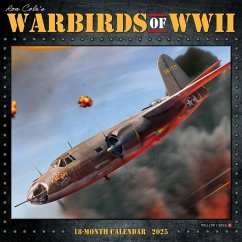 Warbirds of WWII 2025 12 X 12 Wall Calendar - Willow Creek Press