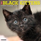 Just Black Kittens 2025 12 X 12 Wall Calendar