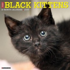 Just Black Kittens 2025 12 X 12 Wall Calendar - Willow Creek Press