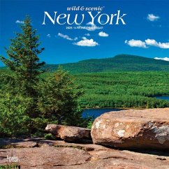 New York Wild & Scenic 2025 12 X 24 Inch Monthly Square Wall Calendar Plastic-Free - Browntrout